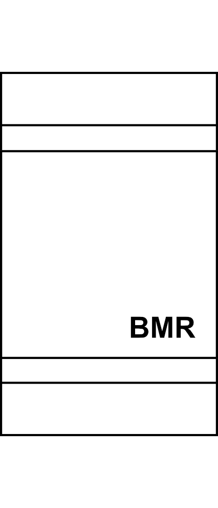Převodník BMR WIFI485