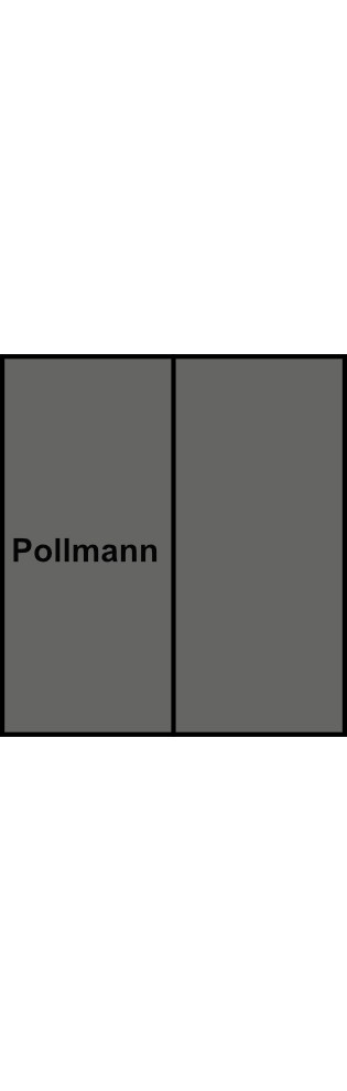 2-pólová rozbočovací svorkovnice Pollmann HLAK 25-2/4 S 2xšedá